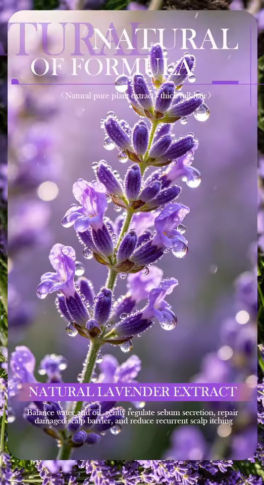 Organic Lavender Cold Pressed Shampoo Soap for Hair Care Without Silicone, Cleanses the Scalp, Nourishes Hair & Controls Oil