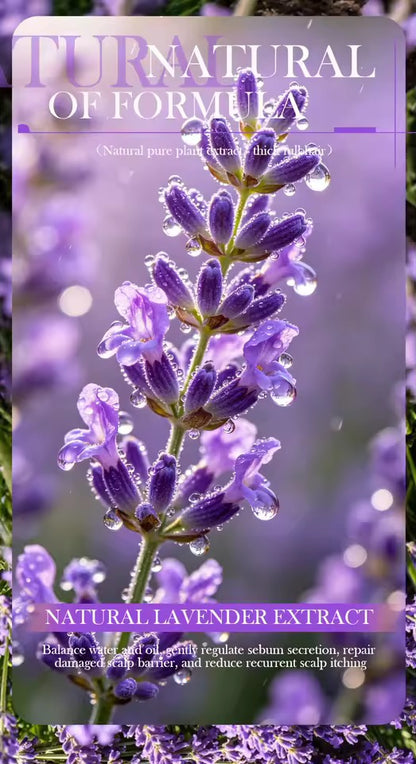 Organic Lavender Cold Pressed Shampoo Soap for Hair Care Without Silicone, Cleanses the Scalp, Nourishes Hair & Controls Oil