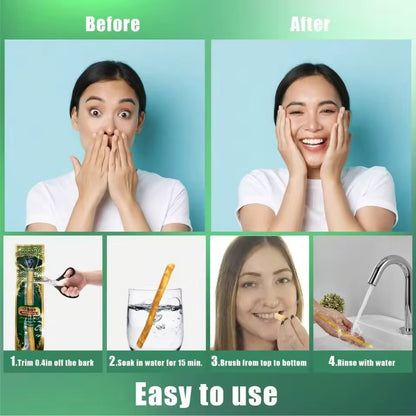 Miswak Sticks Organic Oral Care