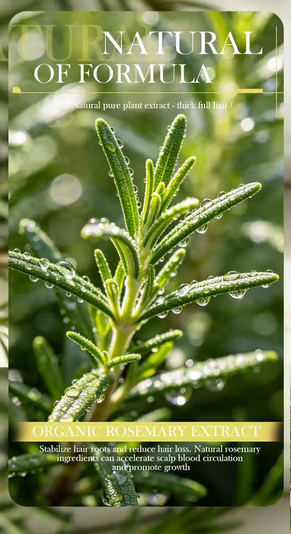 Organic Rosemary Shampoo Soap for Hair Care Without Silicone, Cleanses the Scalp, Nourishes Hair & Controls Oil
